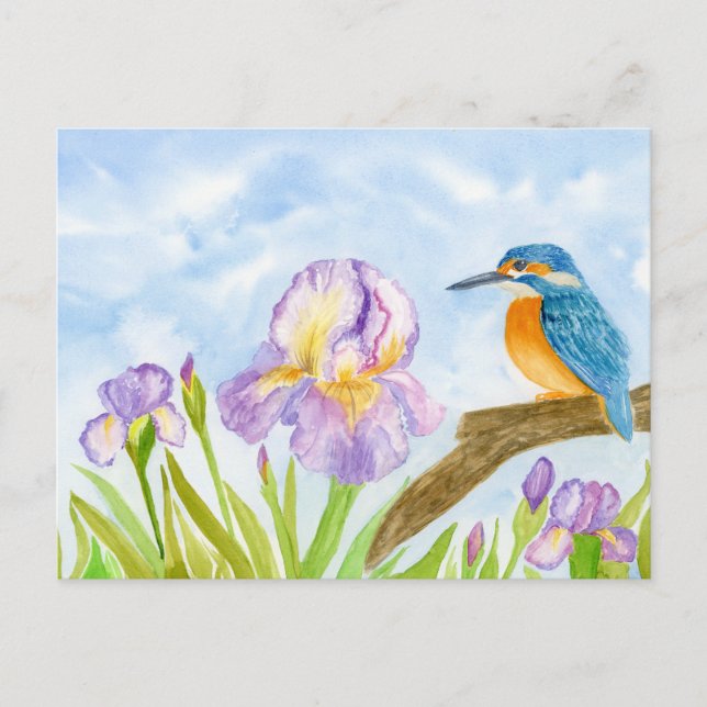  Kingfisher with Purple Irises Vykort (Framsida)