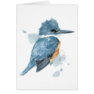 Kingfisherakvarellkort OBS Kort