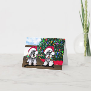 KiniArt Miniature Schnauzer-julkort Helgkort