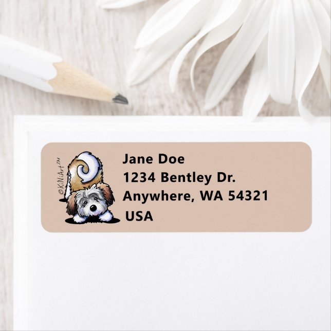 KiniArt Playful Havanese Returadress Etikett (Insitu)