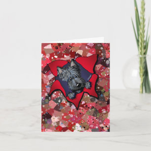 KiniArt Scottie Blast in Red and Black Kort