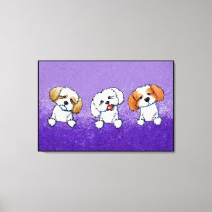 KiniArt Shih Tzu Trio Canvastryck