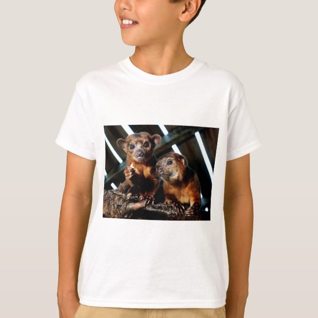 Kinkajous T-shirt (Framsida)