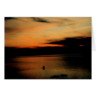 Kinney Shores på Dusk Hälsningskort