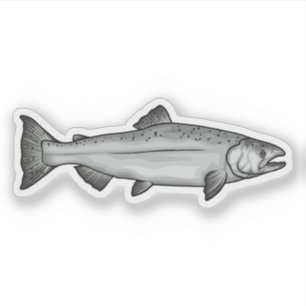 Kinook Salmon Ocean Phase illustration Klistermärken
