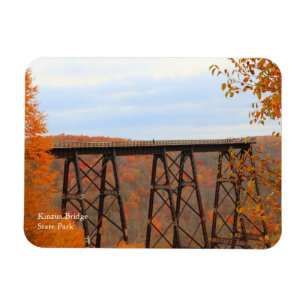 Kinzua Bridge Colorful Fall Scene Souvenir Fridge Magnet
