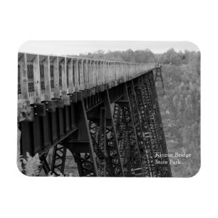 Kinzua Bridge Skygå B&W Autumn Souvenir Fridge Magnet