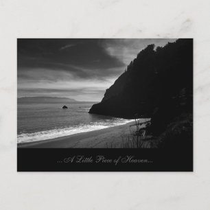 Kirby Beach - lite Biet i himlen Vykort