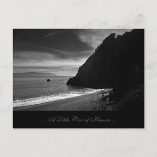 Kirby Beach - lite Biet i himlen Vykort