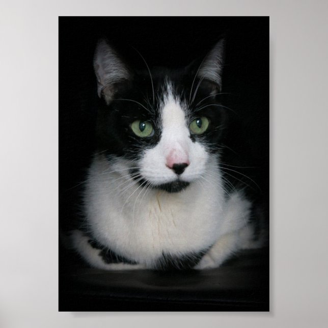 Kirby Poster (Framsidan)