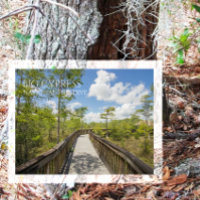 Kirby Storter Boardpromenad, Big Cypress NP, Flori