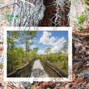 Kirby Storter Boardpromenad, Big Cypress NP, Flori Vykort