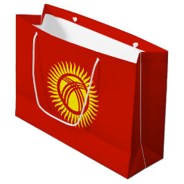 Kirgizistan flagga