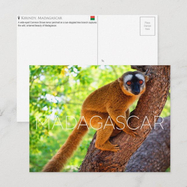 Kirindy, Madagaskar Resebrevkort Vykort (Fram/baksida)