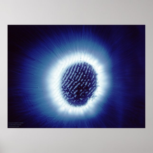 Kirlian Photo of Finger Tip Poster (Framsidan)