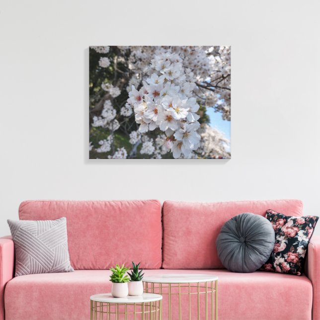 KIRSEBÄRBLOMMOR #2 PÅ DUK     20 "x 16" Canvastryck (Insitu (Vardagsrum))