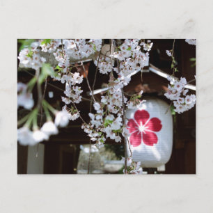 Kirsebärsblomfestivalen i Kyoto Vykort