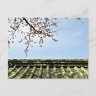 Kirsebärsplomning: Zojoji-templet, Tokyo, Japan Po Vykort