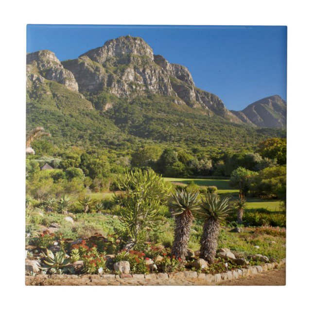 Kirstenbosch Botanic Gardens, Kapstaden Kakelplatta (Framsidan)