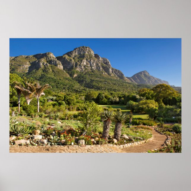 Kirstenbosch Botanic Gardens, Kapstaden Poster (Framsidan)