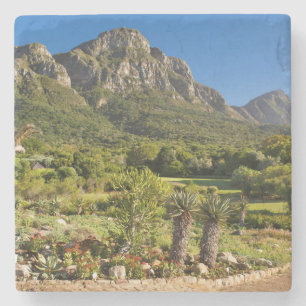 Kirstenbosch Botanic Gardens, Kapstaden Stenunderlägg