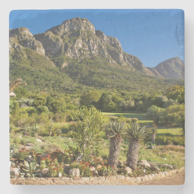 Kirstenbosch Botanic Gardens, Kapstaden Stenunderlägg (Framsidan)