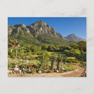 Kirstenbosch Botanic Gardens, Kapstaden Vykort