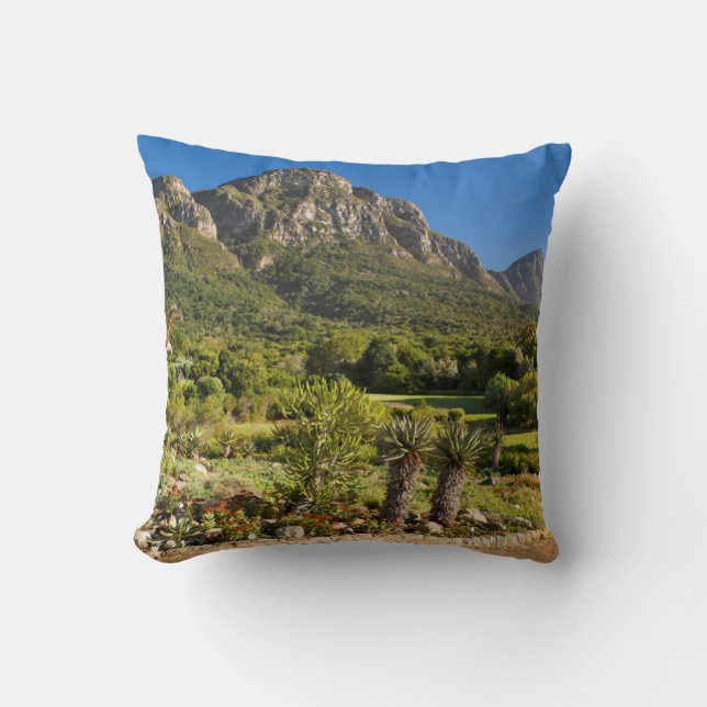 Kirstenbosch botaniska trädgård, Kapstaden Kudde (Framsida)