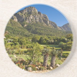 Kirstenbosch botaniska trädgård, Kapstaden Underlägg Sandsten