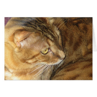 Kishka-glittering i guld hälsningskort