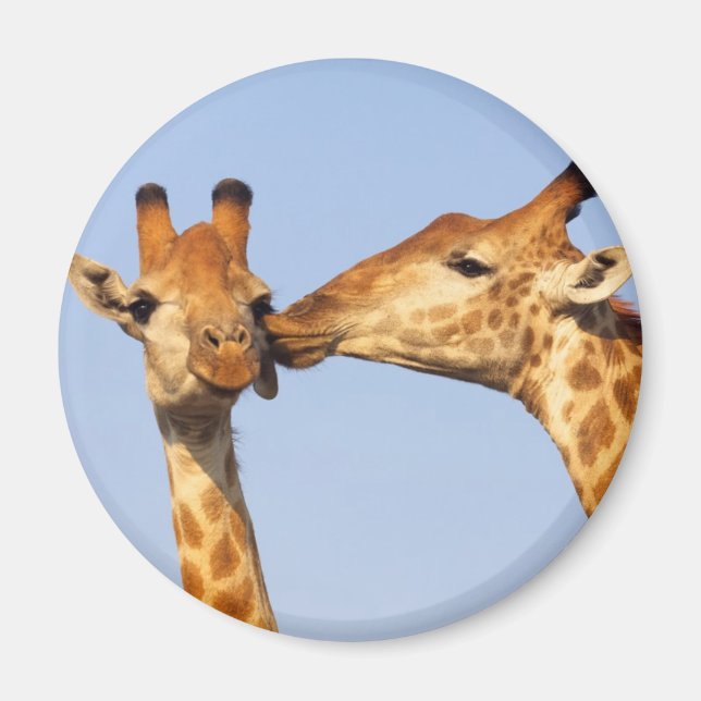 Kiss Magnet (Framsidan)