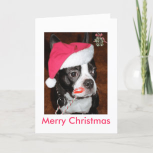 Kiss me Boston Terrier Helgkort