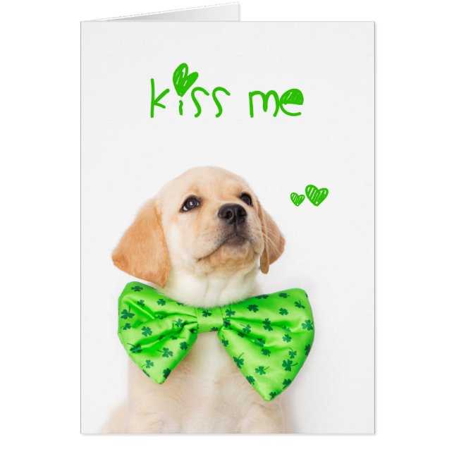 Kiss Me Gult Labrador Puppy Hälsningskort (Framsidan)