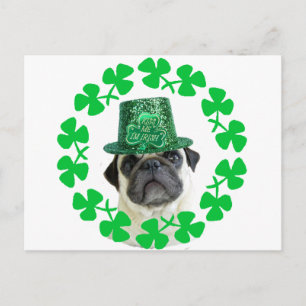 Kiss me jag är Irish pug-vykort Vykort