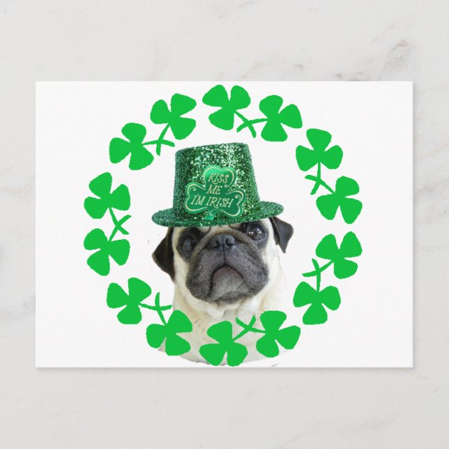 Kiss me jag är Irish pug-vykort Vykort (Framsida)