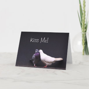Kiss Me Kärlek Pigeons Valentine Card Helgkort