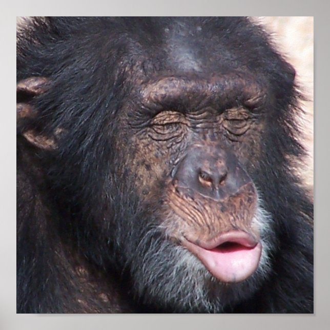 Kiss Me Poster (Framsidan)