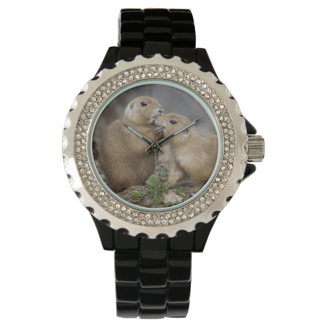 Kiss me Quick Watch Armbandsur (Framsida)