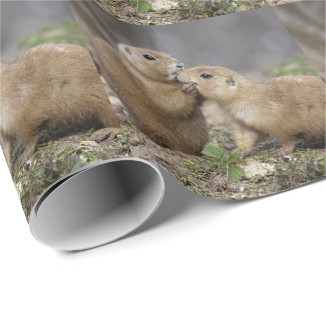 Kiss mig snabbradbrytning Papper Presentpapper (Rullad Hörn)