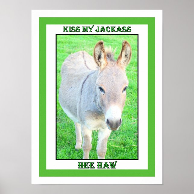 KISS MY JACKASS, HAW POSTER (Framsidan)