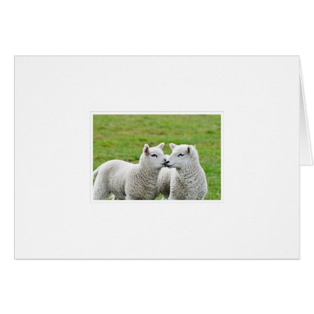 Kiss och konfektion hälsningskort (Framsidan Horizontal)