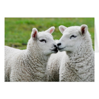 Kiss och konfektion hälsningskort