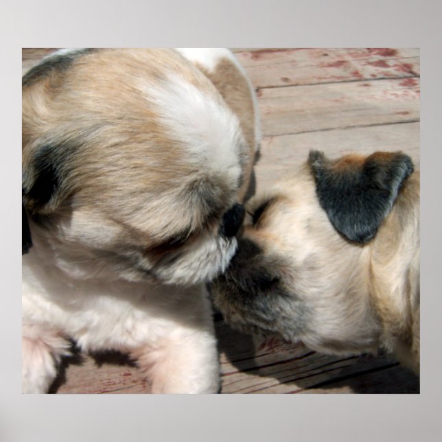 Kiss-Poster Poster (Framsidan)