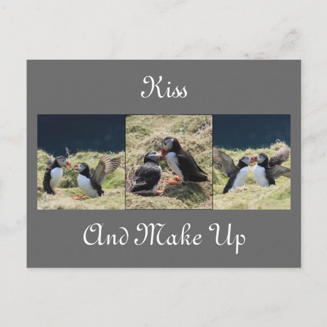 Kissa och skapa vykort (Framsida)