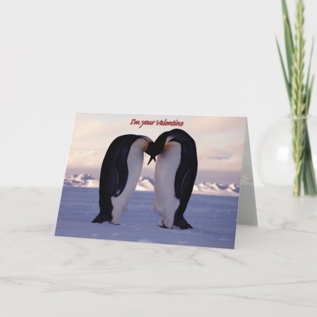 Kissar kejsare Penguin Valentine... Helgkort (Framsida)