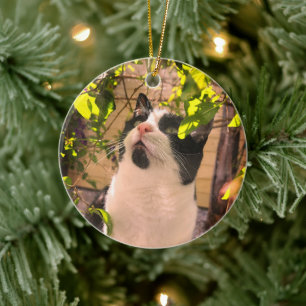Kissekatt Julgransprydnad Keramik