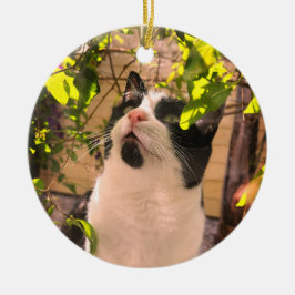 Kissekatt Julgransprydnad Keramik