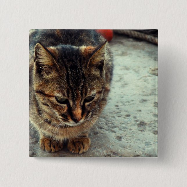 Kissekatt Knapp (Framsida)