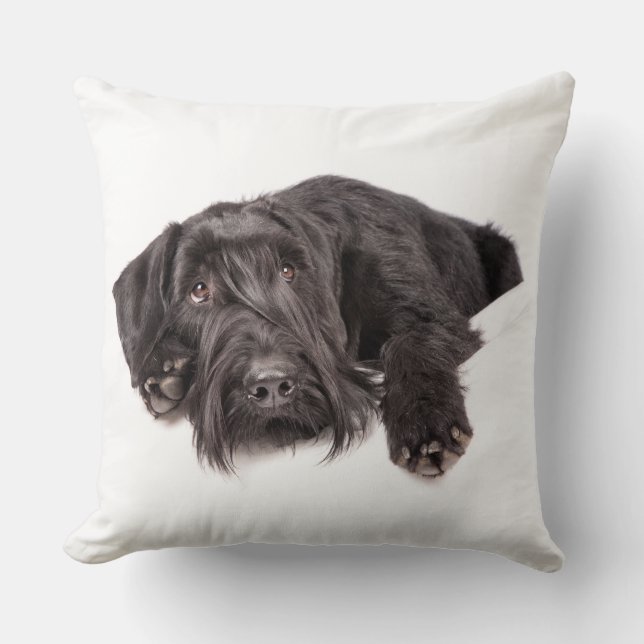 Kissen Riesenschnauzer Kudde (Framsida)
