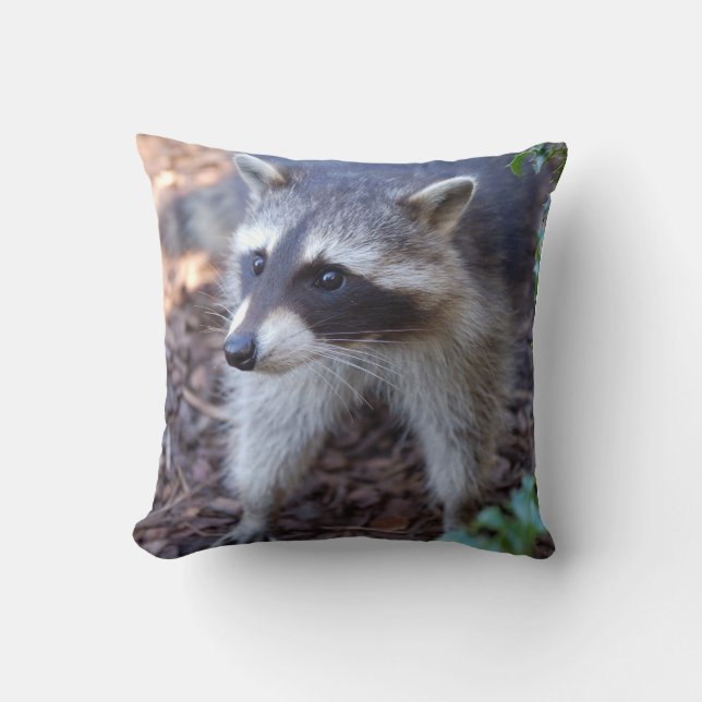 Kissen Waschbär Racoon Kudde (Framsida)